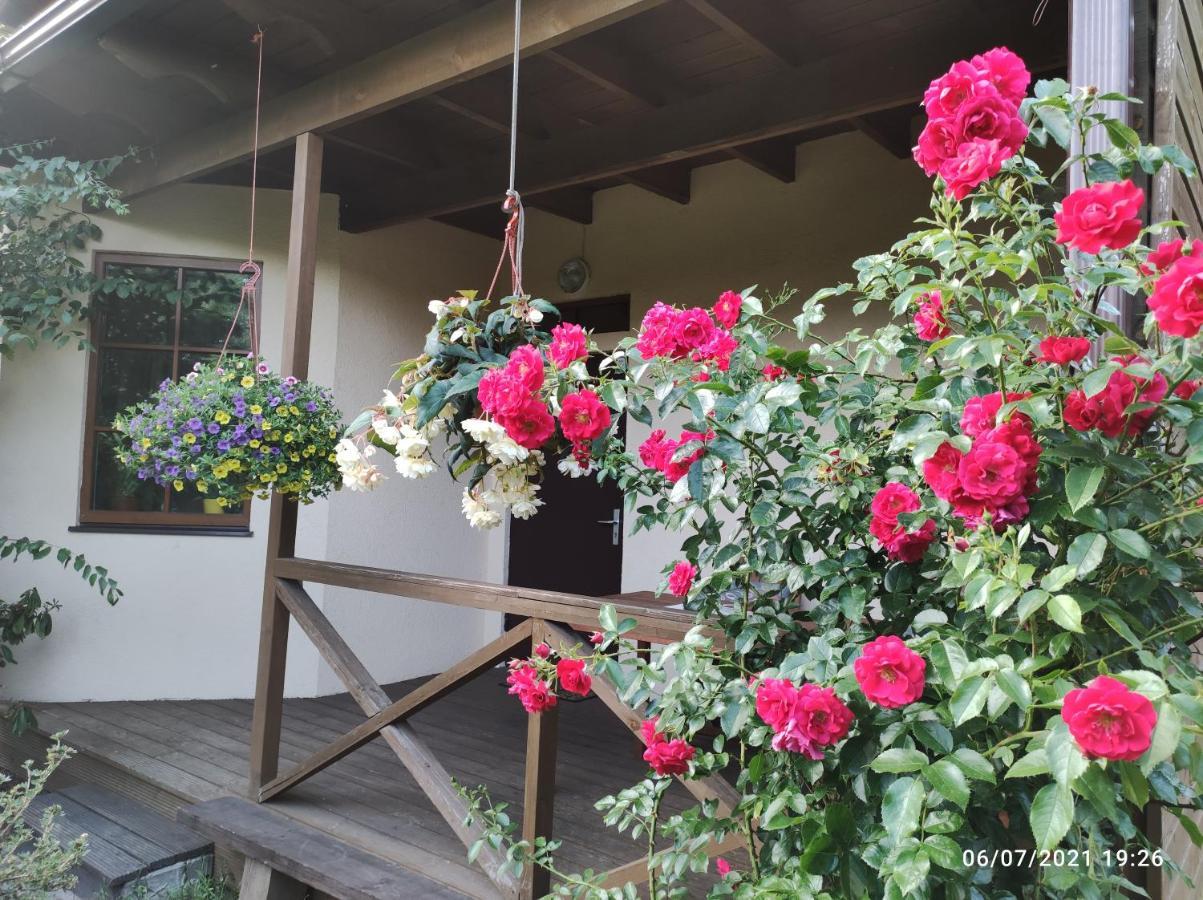Boutigue City House With Terrace And Garden Free Parking Рига Екстер'єр фото